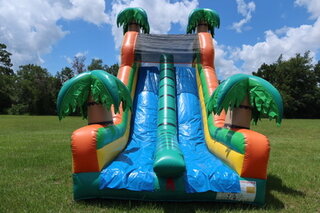 Zoo Rock Wall/Slide 