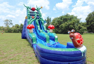 25ft Enchanted Forest Slide (Wet or Dry)