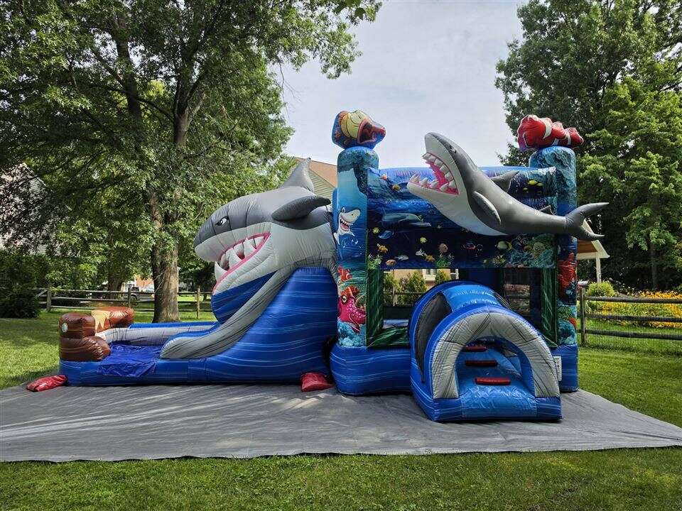 Shark Attack bounce house and slide combo set up in a backyard in Anderson Township, Ohio