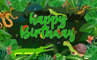 Add-on: Zoo Party themed backdrops