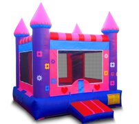 Princess Castle Dry ONLY