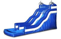 Dolphin Water Slide WET/DRY