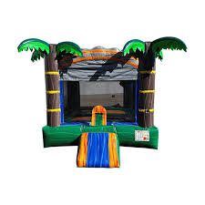 13' Tropical Breeze Bouncer *15-20
