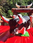 Mechanical Bull Rental