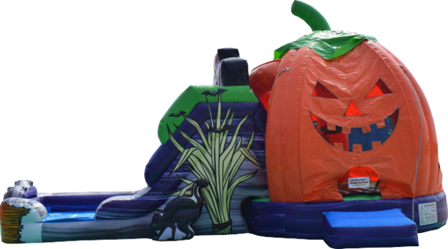 Halloween Pumpkin Wet or Dry Combo