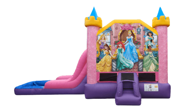 Disney Princess Castle Wet or Dry Combo