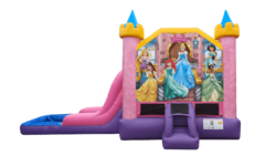 Disney Princess Castle Wet or Dry Combo
