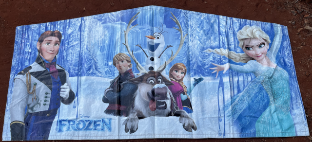 Frozen