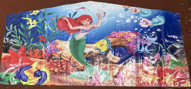 Little Mermaid