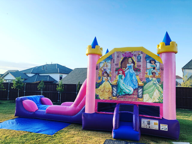 Inflatable Disney princess bounce house with water slide on grass