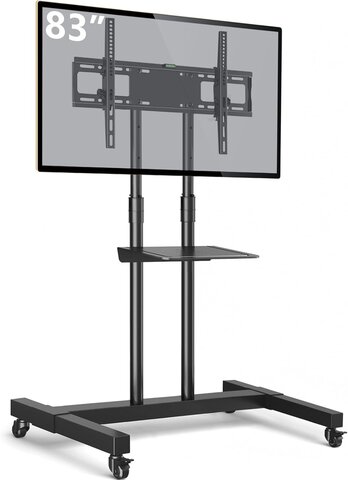 Mobile TV Mount