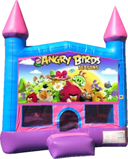 Angry Birds Castle Bouncer