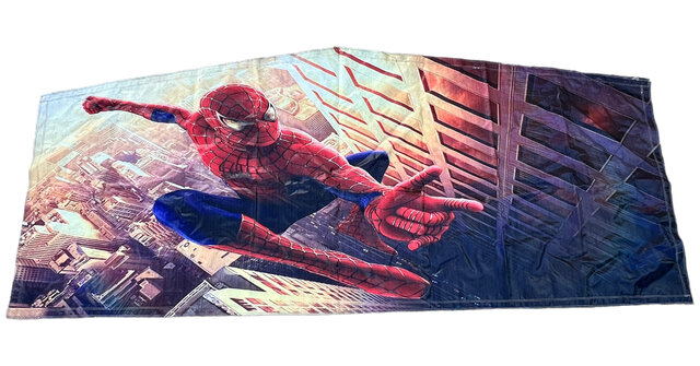 Spiderman Banner