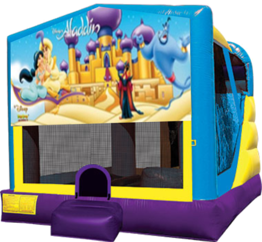 Aladdin Large C4 Dry Combo with Slide & Basketball Hoop