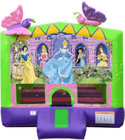 Disney Princess Butterfly 13x13 Fun House