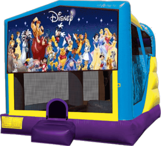 World of Disney Large C4 Dry Combo with Slide & Basketball Hoop