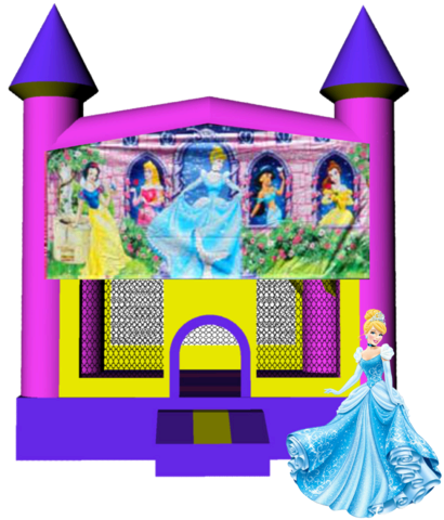 Disney Princess Pink Castle 13x13 Fun House