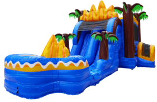 Oasis Dual Lane Combo Large Waterslide