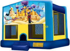Aladdin Large 15x15 Fun House
