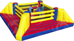 Boxing Ring 24 x 24 Bouncer