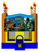 Ninja Turtles Birthday Cake 13x13 Fun House