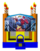 Spiderman Birthday Cake 13x13 Fun House