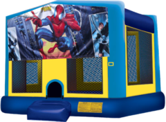 Spiderman Large 15x15 Fun House
