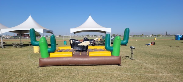 The Mechanical Bull Rental Phoenix AZ Knows Will Be a Good Time for All! 
