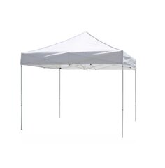 10x10 tent 