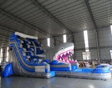 Water Slides