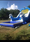 Dolphin Water Slide