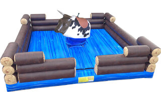 Mechanical Bull