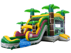 Bounce House Slide Inflatables