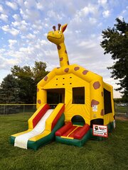 GIRAFFE 3/1 COMBO -DRY USE ONLY