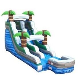 Tropical Palm Water Slide