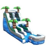 Tropical Palm Water Slide