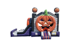 Holiday Items