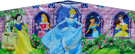 *Disney Princess Panel