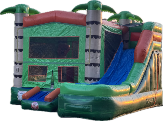 Sahara Palm Bounce Waterslide