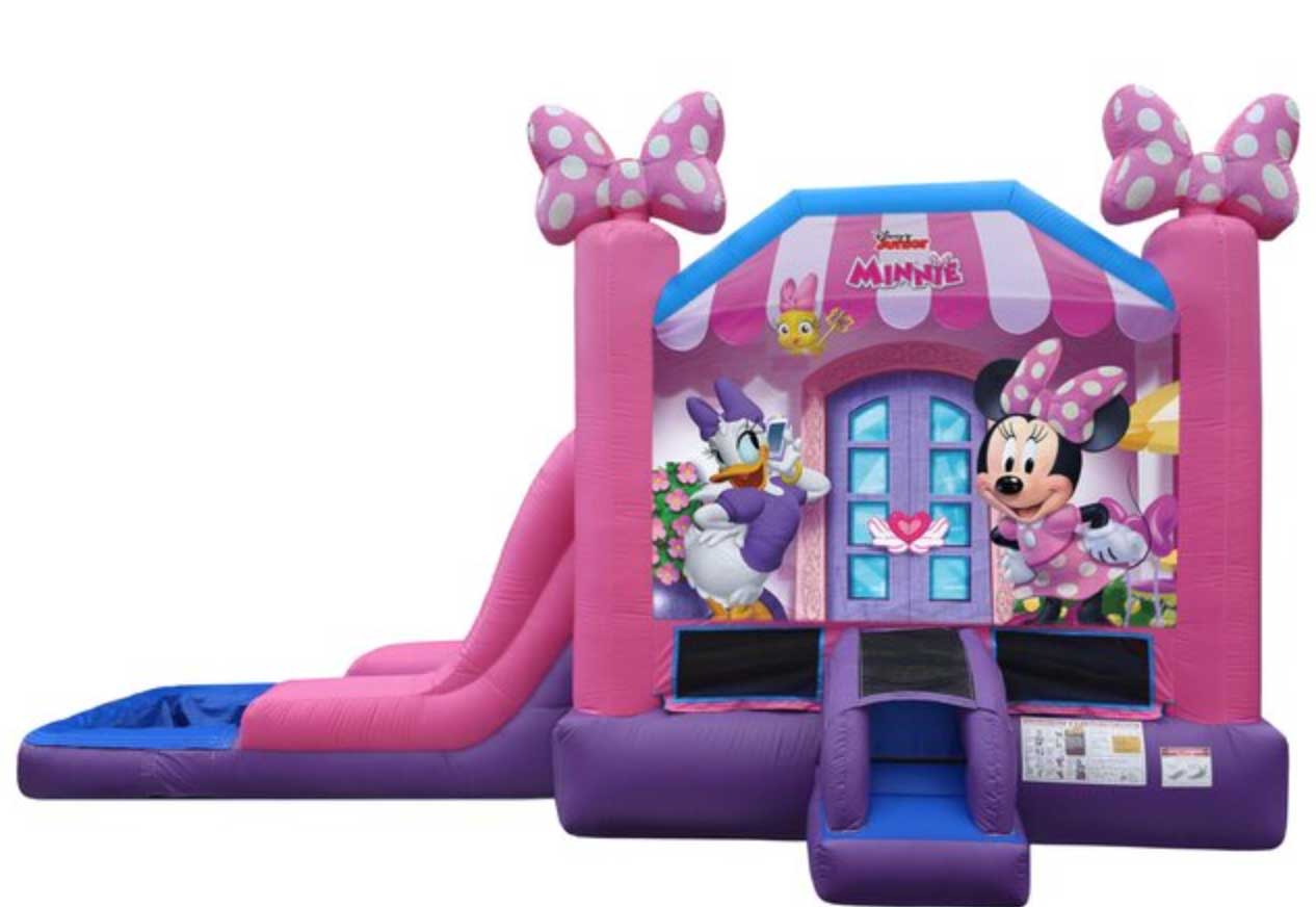 Which Princess Inflatable Is Right for Your Party?