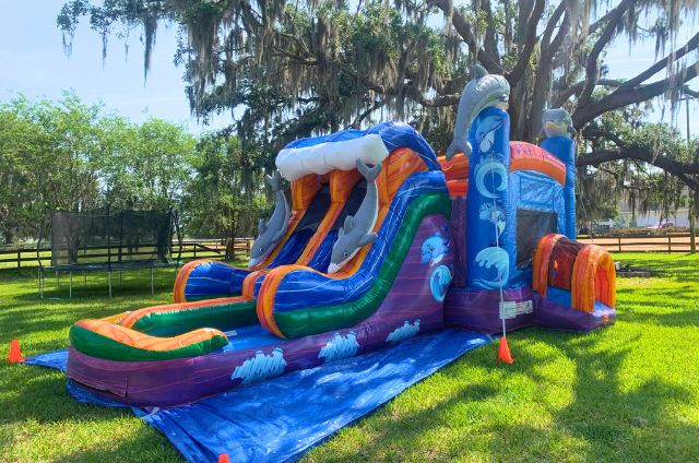 Dolphin Theme Bounce House With Slide Rental