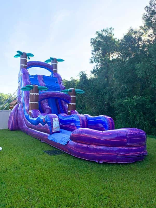 Palm Harbor Double Lane Purple Water Slide Rental