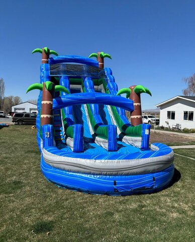 20' Dual Lane Tropical Water slide