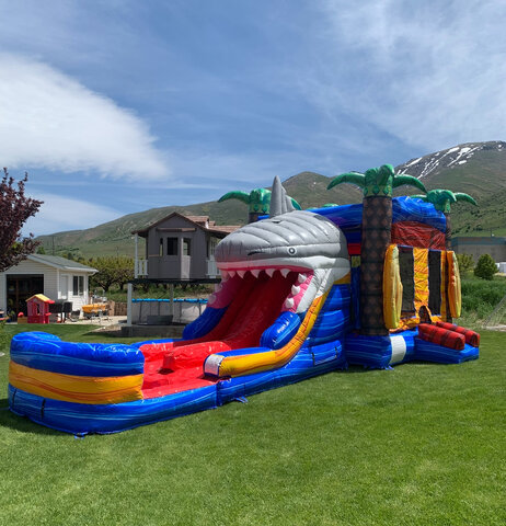 Shark Bounce House With Slide