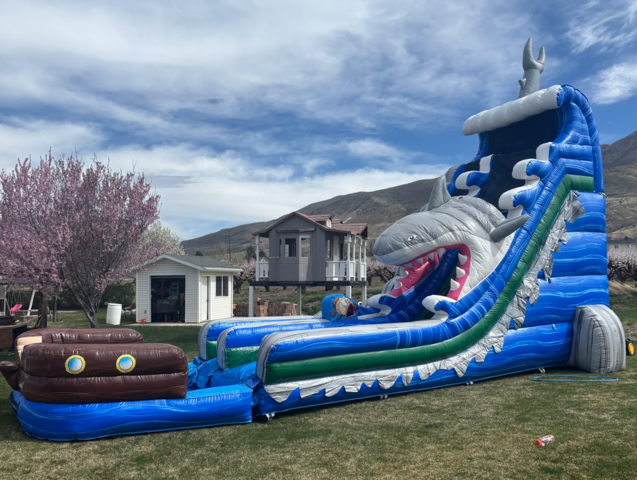 25-foot Shark Water Slide
