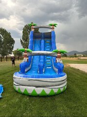 20' Tropical Water Slide