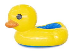 Duck Pond (Inflatable)