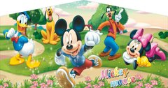 #27 Mickey Mouse banner x