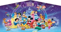 9 Disneyworld  banner x