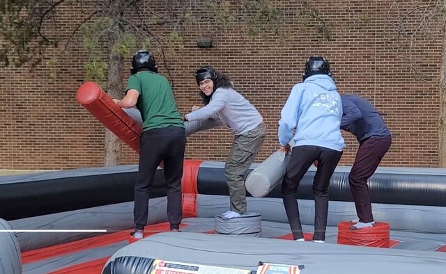 4 Player Joust